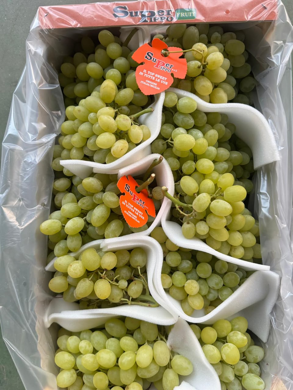 عنب أخضر